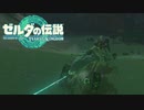 【ゼルダの伝説　ティアーズオブザキングダム】　冒険の記録　♯079　カミナリ、コワイ…