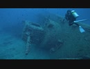 【沖縄本島】USS EMMONS