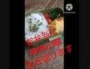 お弁当にも青実山椒生き返ります