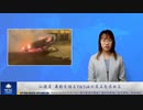仏議員　暴動を煽るTikTokの禁止を求める