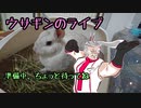 【ゼルダの伝説Botw Part1】第一村人と戯れる焼きリンク【何もしていないのにリンクが壊れた】【うさぎが運営してるVtuber】