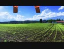 俺ら東京さ〇。〇〇