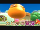 【星のカービィディスカバリー part１３】文明と自然の今までにない新世界を大冒険！【実況プレイ】