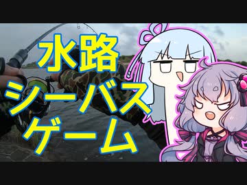 日本一の運河でシーバス釣るおじさんを実況する結月ゆかりwith葵【VOICEROIDフィッシング】