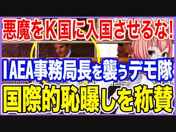 悪魔を入国させるな！IAEA事務局長に襲いかかるK国デモ隊！国際的恥曝しに称賛の声！【2023/07/09】