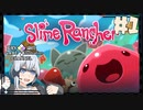 あかりちゃんがスライムをお世話する【Slime Rancher】＃１