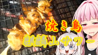 【ハイボール祭り夏の陣2023】焼き鳥で麒麟山サワーをキメる茜ちゃん【茜ちゃん七輪飲み】