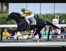 【ウマ娘風】23.7.9 福島7R 3歳未勝利戦【ピックアップライン】【武士沢友治】