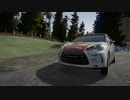 WRC6 Finland Harju DS3 R3-Max リプレイ 20230620