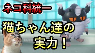 【統一パで挑む】みんな大好き猫ちゃん達で戦います！【ポケモンSV】