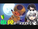 仮免ドライバーアリアルさん #101【マリオカートツアー】
