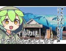 ずんだもん「イルカ触るならちゃんとそういう場所あるのだ」
