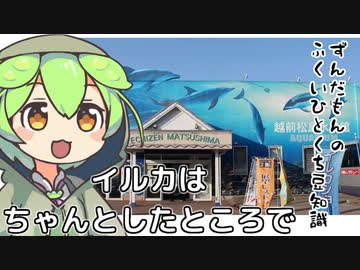ずんだもん「イルカ触るならちゃんとそういう場所あるのだ」