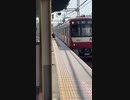 ホモと見る腕を失くしたいメスガキ