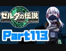 [ゼルダの伝説 TotK]つくよみちゃんが再びハイラルの地を初見でのんびり駆ける その113 [A.I.VOICE COEIROINK 実況]