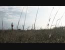 NCMR feat. 結月ゆかり - Silti (Absoluuttinen Nollapiste カバー)