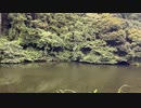 散在ガ池森林公園 06:21pm