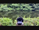 散​在​カ​゙​池​森林​公​園 06​:​05pm