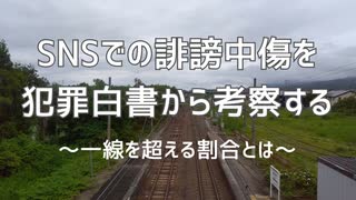 SNSでの誹謗中傷～犯罪白書から考察する～