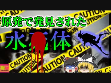 【2016年】原子力発電所で発見された水〇体…警備中だった彼に一体何が？【ゆっくり解説】