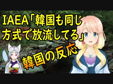 【韓国の反応】IAEA「海水で薄めて濃度を低くし放流する方式は、中国や韓国もやっている方式」と発表した結果【世界の〇〇にゅーす】