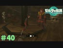 明らかに出てはいけない場所だった　「ゼルダの伝説～ティアーズ・オブ・ザ・キングダム」　＃40