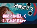 【女性向けボイス】妹ちゃんの初めてを優しくもらってあげるお兄ちゃん