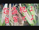 窃盗犯よ！自首せよ