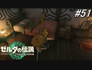 【ティアキン】他人の日記を勝手に読む最低勇者【ゼルダの伝説 ティアーズ オブ キングダム】実況プレイ part51