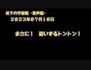 紅子の宇宙船 －音声版－ 2023年07月10日