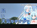 2023年7月10日　農作業日誌P686　ついに小松菜が出荷可能になったものの数量が少なくてさみしい