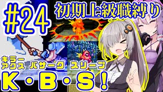 へっぽこ軍師ゆかりの初期上級職縛り #24【FE封印の剣】【VOICEROID実況】【結月ゆかり&紲星あかり】