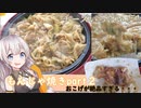 紲星あかりの一人メシ【もんじゃ焼きpart２】