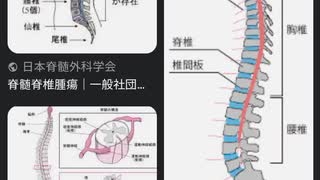 １円玉健康法など想像理論を語りました。尻尾（しっぽ）はアーシング兼静電気充電アンテナだ。生命体活動はエーテル空間からのエーテル静電エネルギー。不食で生きる人はまさにエーテルエネルギーで生きているなど。