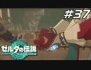 【ティアキン】水質改善を果たした水の賢者 ゼルダの伝説 ティアーズオブザキングダム Part37【ゲーム実況】