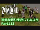 【Project Zomboid】可能な限り生存してみようPart113【プレイ動画】