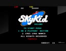 アーケードアーカイブス　スカイキッド DX（協力プレイ）