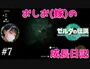 【嫁とゼルダ】アクション苦手なおしおのゼルダの伝説成長日記#7【ゼルダの伝説totk】
