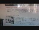 大自然法則　　念法眞言を30分受持唱言　人の心の中を読む訓練  2023-07-10 16-41-23