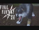 種火の守り手【FINAL FANTASY XVI】実況プレイ part25