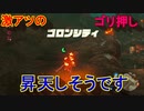 謎解きに弱すぎる男の抗い 名作謎解きゲーをIQ3がゆく[ゼルダの伝説BotW]実況プレイ31