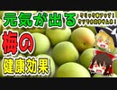 【ゆっくり解説】梅の栄養について解説！