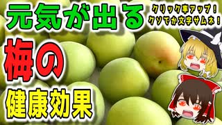 【ゆっくり解説】梅の栄養について解説！