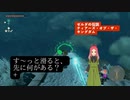 【ティアキン】第20幕 ゾナウギアを駆使して日常演舞は、どこに行くと思いますか？