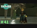 魔がまといし防具ってまさか…　「ゼルダの伝説～ティアーズ・オブ・ザ・キングダム」　＃41