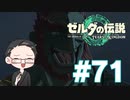 【実況プレイ】 ゼルダの伝説 ティアーズオブザキングダム part71 【いちご大福】