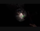 【実況】ちょっくら悪霊を除霊してくる【Demonologist】part21