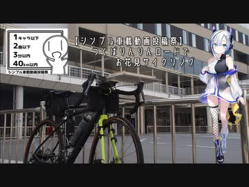 つくばりんりんロードで お花見サイクリング《 シンプル車載動画投稿祭 》【 ロードバイク車載 】