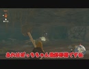 【初投稿】【ゆっくり実況】常識を知らないtotk/part.1