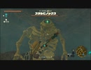 【ゼルダの伝説 ティアーズ オブ ザ キングダム】再びハイラルを救うまで【実況】 part50